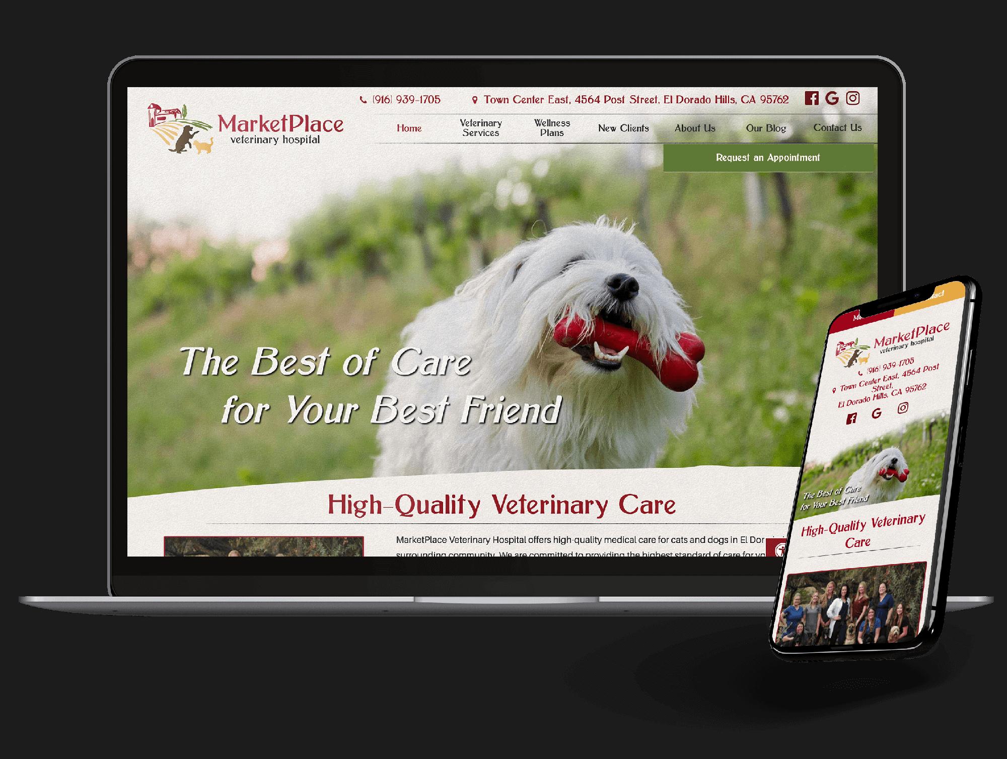 At Home Veterinary, NY, New York General Information