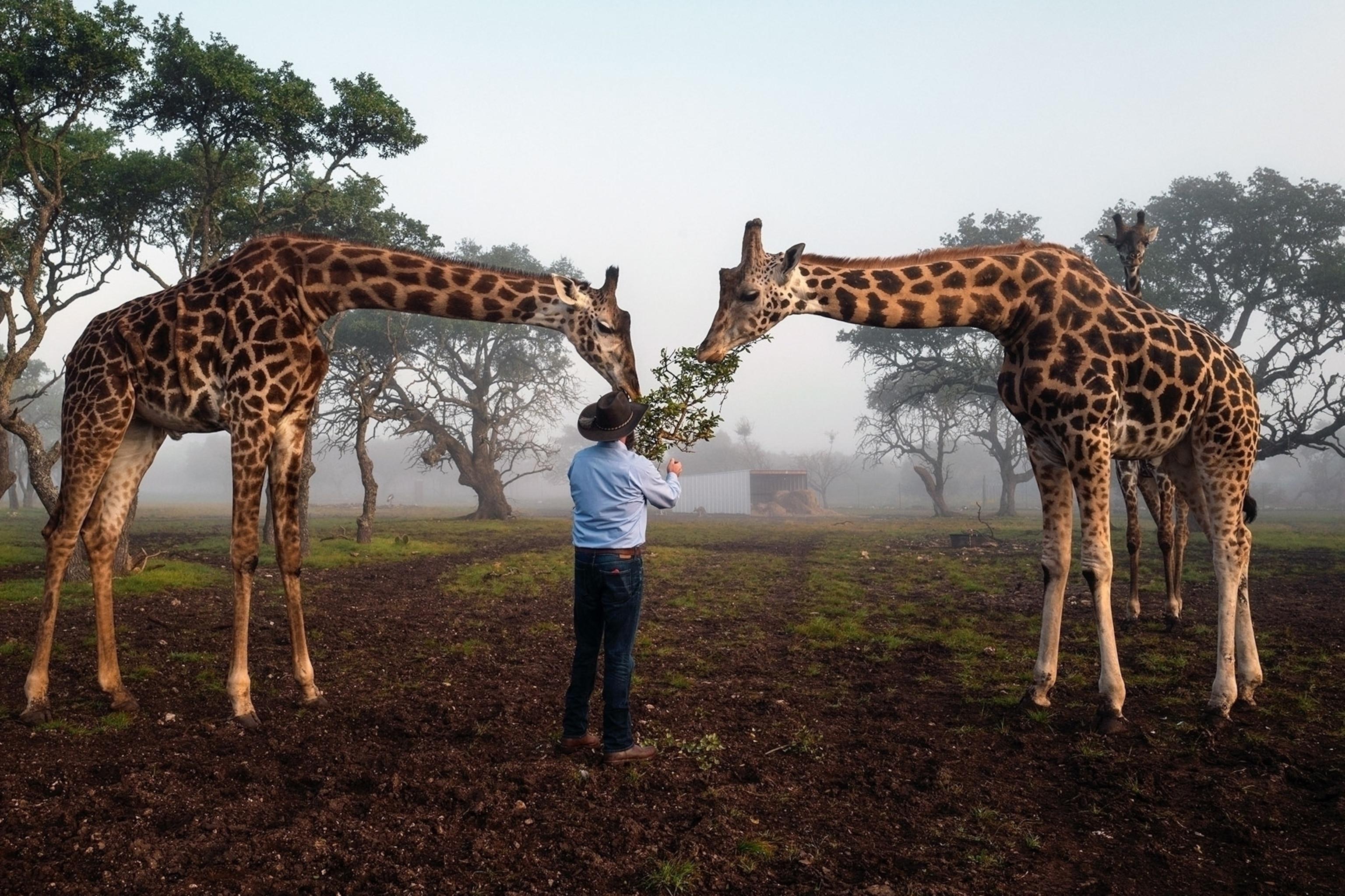 A behind-the-scenes look at Texas' exotic game ranching industry