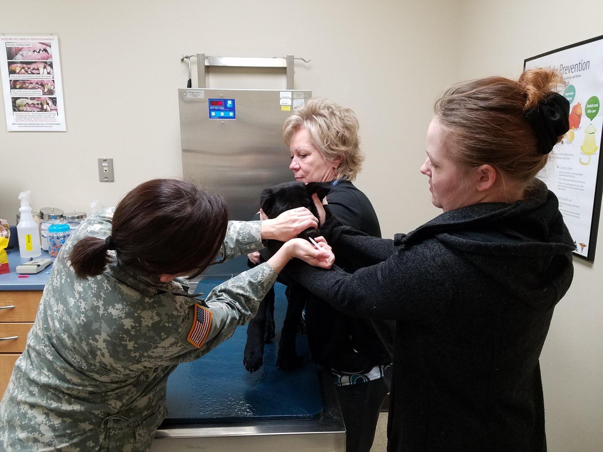 Wright-Patt veterinary clinic caters to fur babies and furry ...