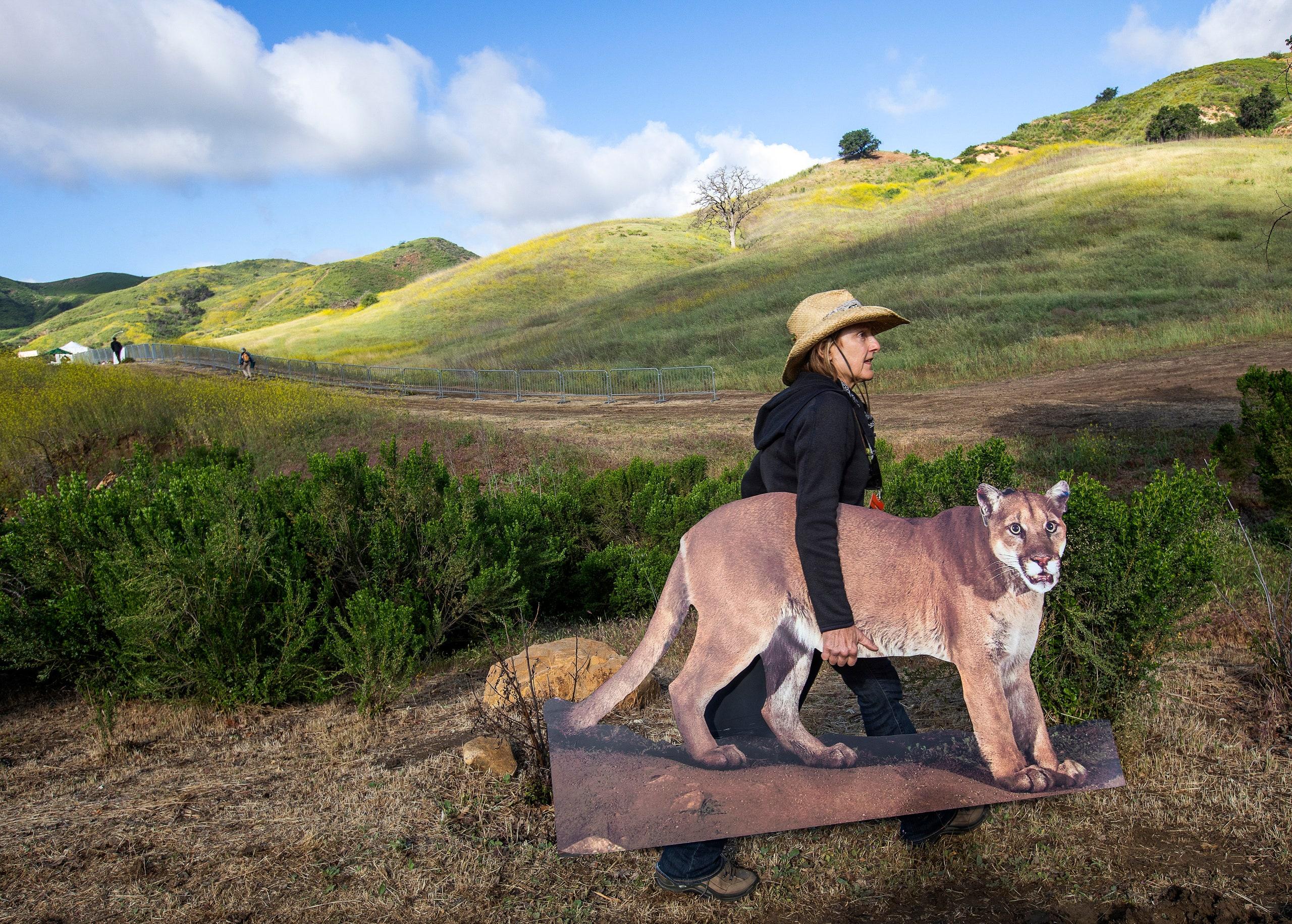 An Urban Wildlife Bridge Is Coming to California | The New Yorker