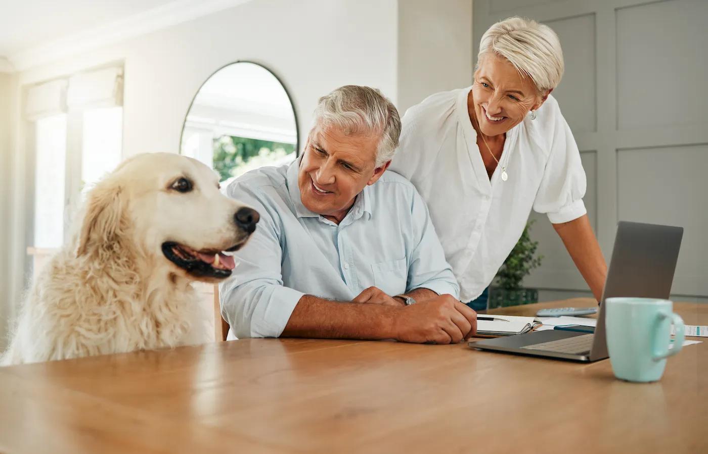 How to <b>Save</b> Money on <b>Pet Insurance</b> - Experian