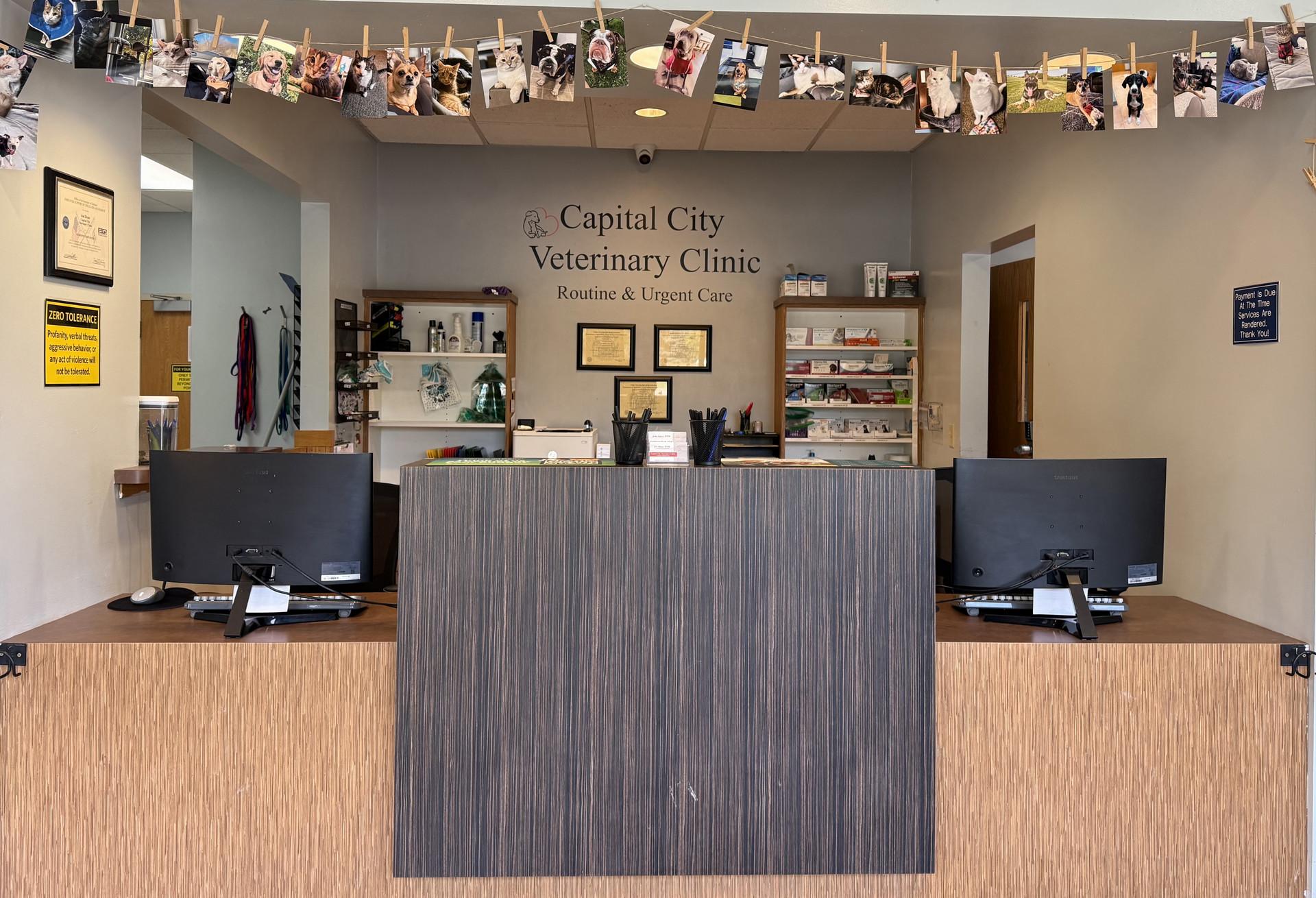 Veterinarian in <b>Sun Prairie</b>, WI | Capital City Veterinary Clinic ...