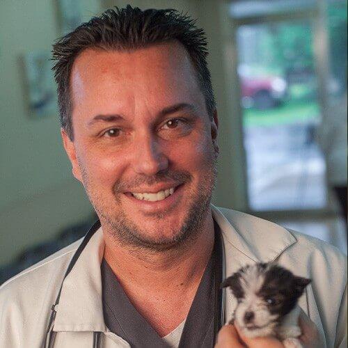 Dr. Jon-Paul Carew | Panama City, FL <b>Veterinarian</b> | <b>Parkway Animal</b> ...