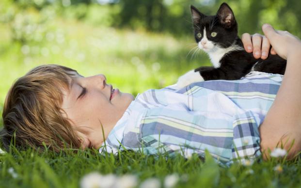 North Alabama Cat and <b>Veterinary Clinic</b>, <b>Hartselle</b>, AL 35640