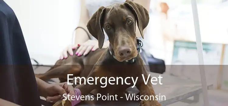 Emergency <b>Vet Stevens Point</b> - 24 Hour Emergency <b>Vet</b> Near Me