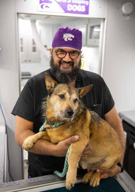 Wildcat <b>Veterinarian</b> Winter 2023 by K-State College of <b>Veterinary</b> ...