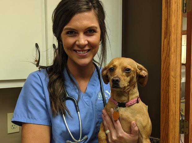 <b>McPherson Vet Clinic</b> – <b>McPherson</b>, <b>Kansas</b>