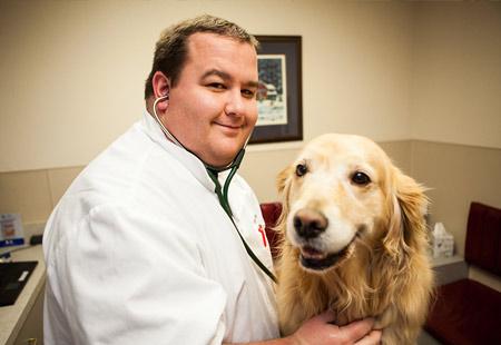 <b>Norman Pet Services</b> | Wellness Exams, Vaccines | Boarding | <b>OK</b>