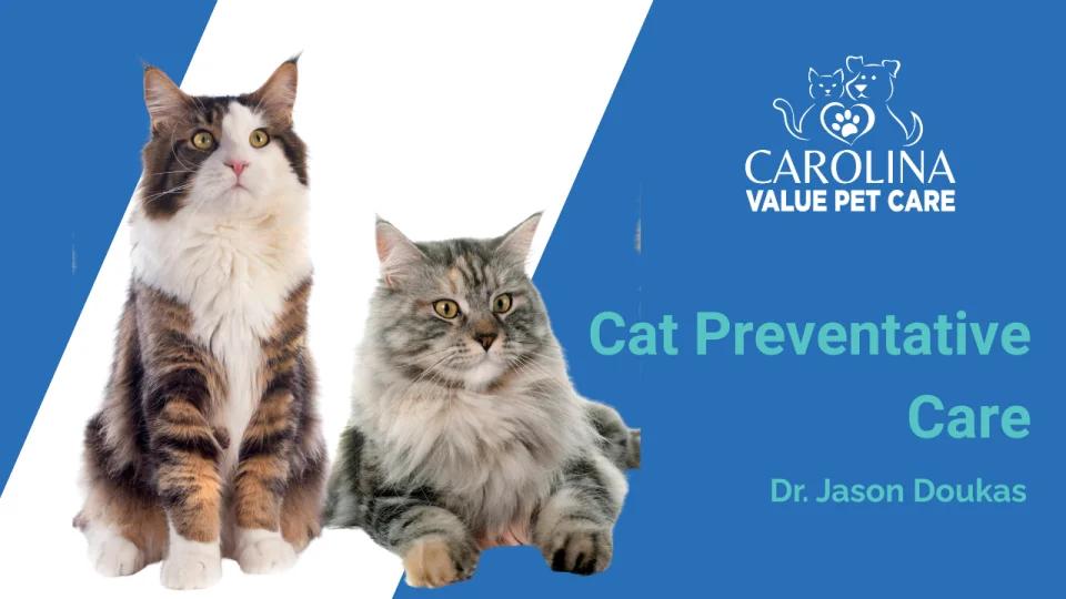 Cat <b>Preventive Care</b> | Carolina Value <b>Pet Care</b>