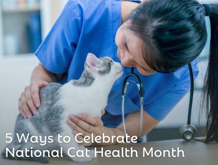 <b>Cat Health</b> Month | <b>Animal</b> Hospital of <b>Celina</b>