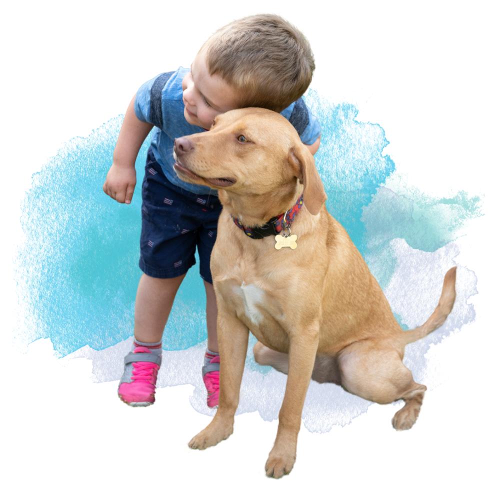 School of <b>Veterinary Medicine</b> - Give to <b>Veterinary Medicine</b>