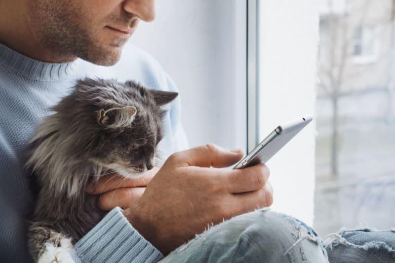 How to <b>Choose</b> the <b>Best Animal Hospital</b>? | Our Baton Rouge <b>vets</b>