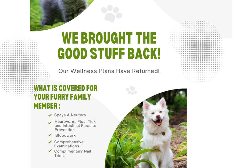 Home | The <b>Animal Hospital</b> and Pet Resort at Southwood | <b>Tallahassee</b>