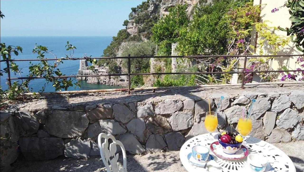 Superior Double or Twin Room Garden View