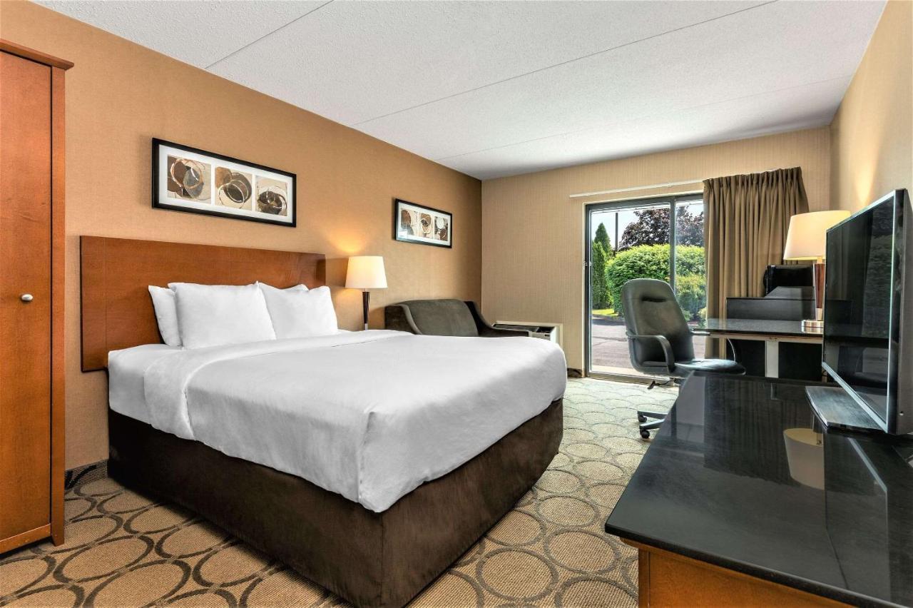 Standard Queen Room - Ground Floor