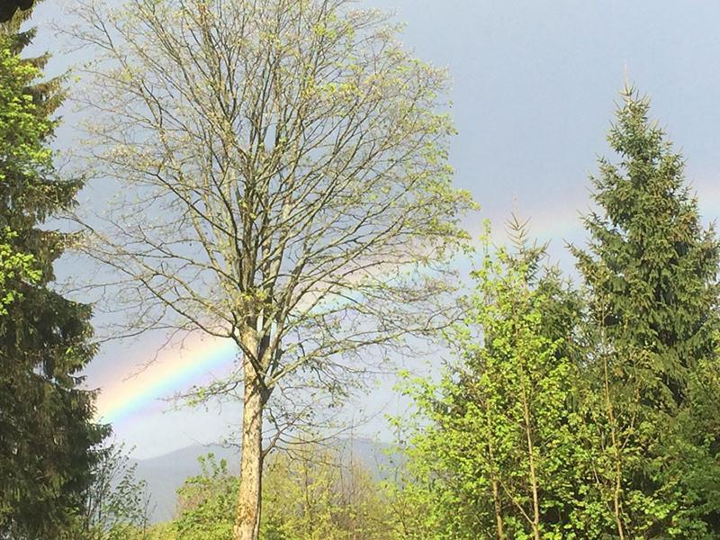 Familienzimmer