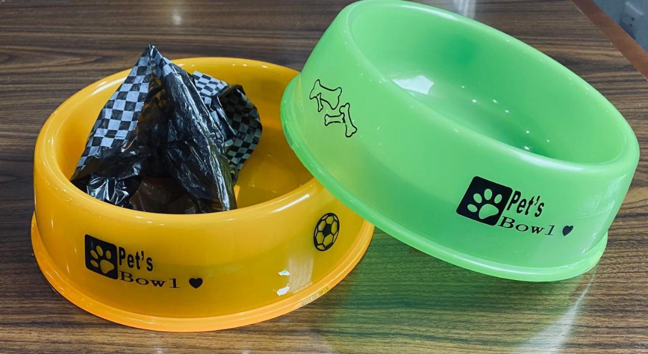 Suite - Pet Friendly
