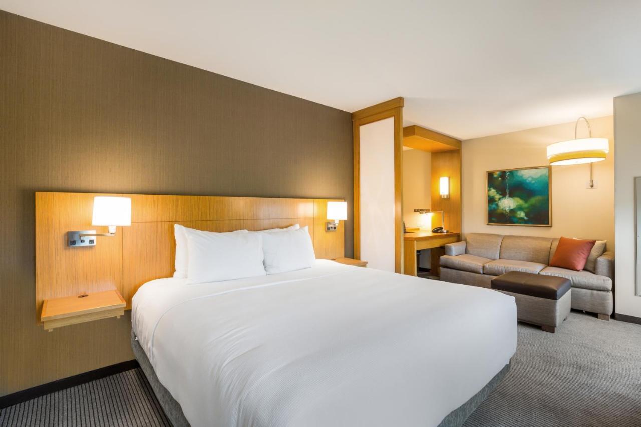 Specialty King Room with Sofa Bed