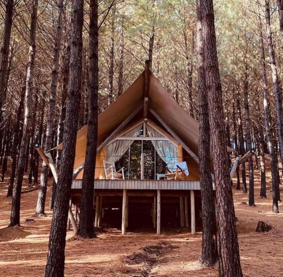 Luxury Glamping Tent,1263034864:JPEG