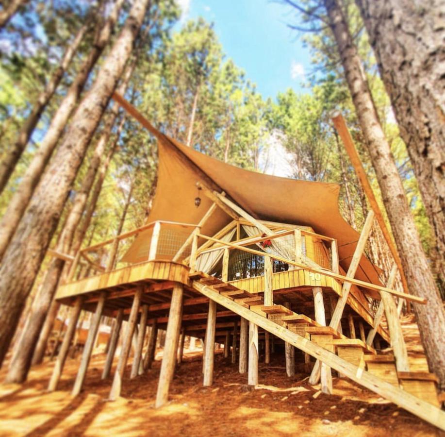 Master Glamping Tent
