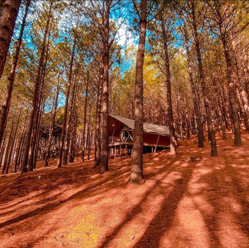Master Glamping Tent