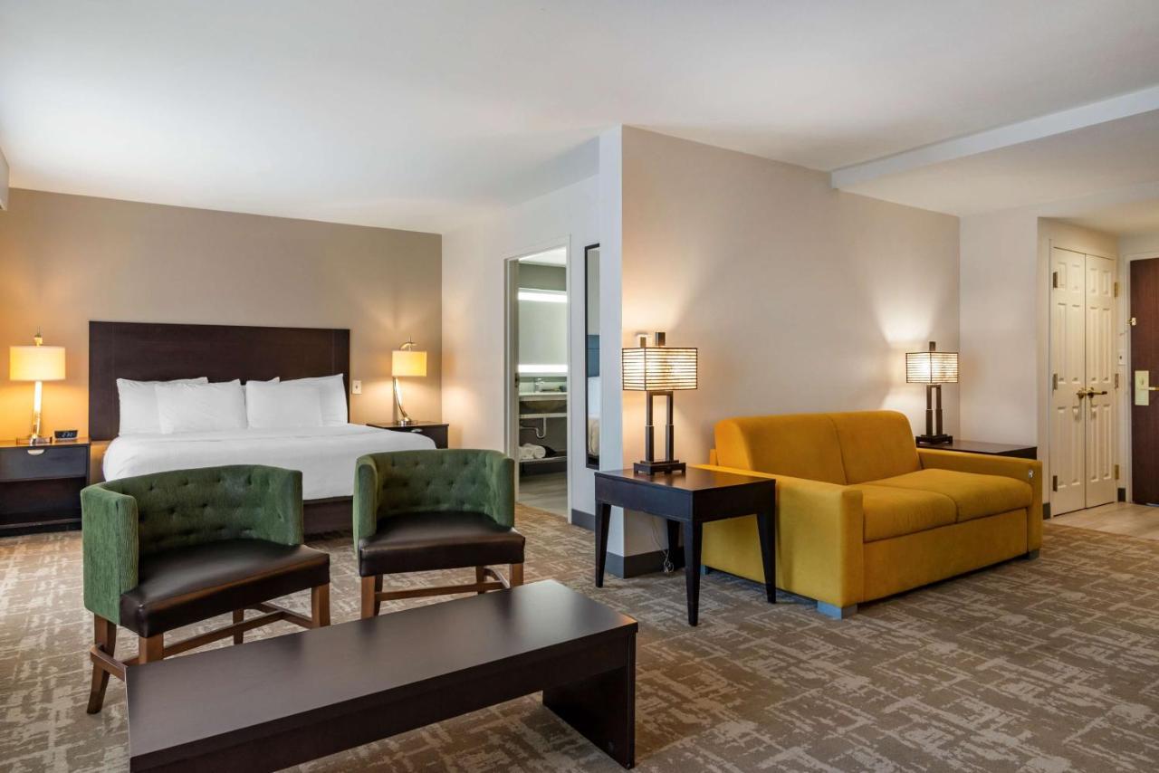 King Suite with Sofa Bed