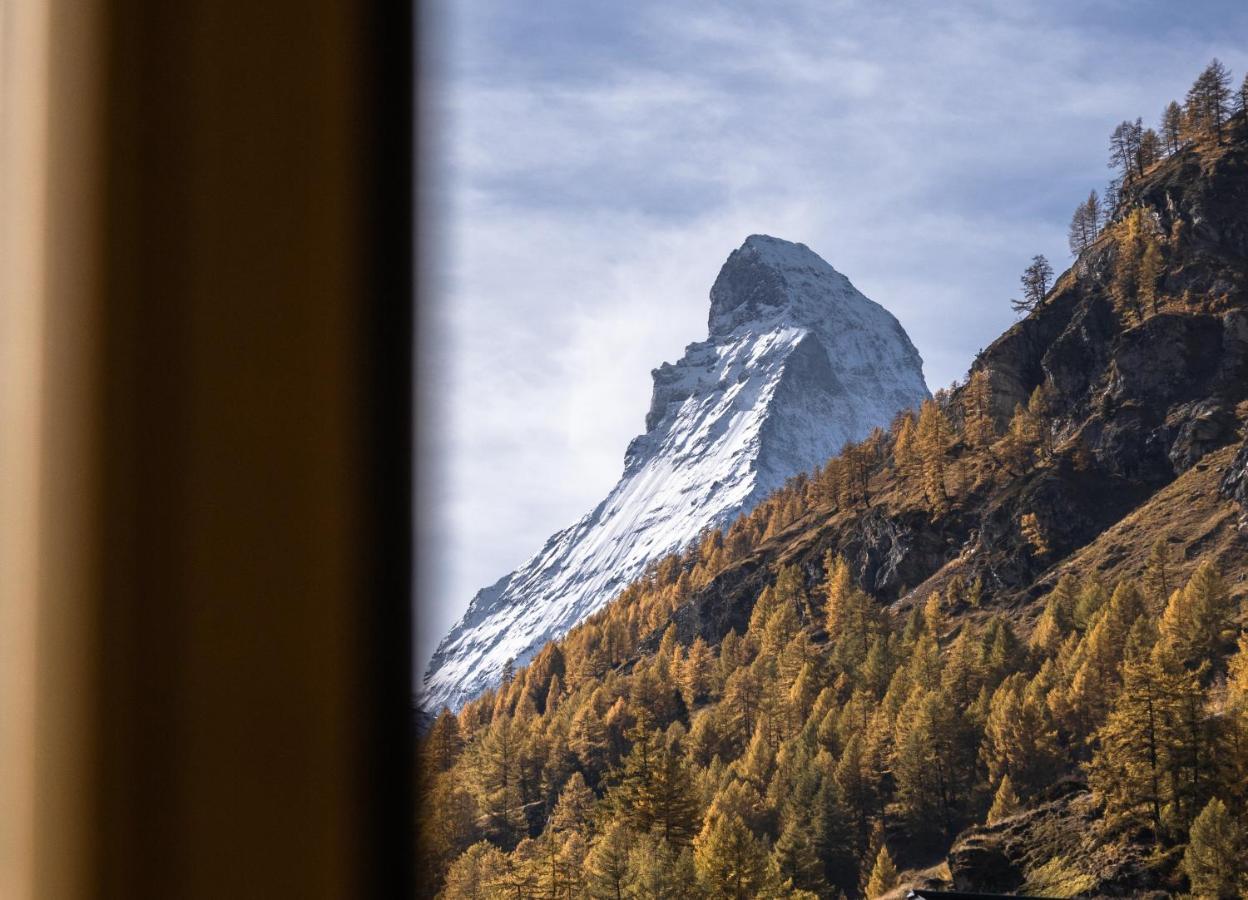 Einzelzimmer mit Gemeinschaftsbad