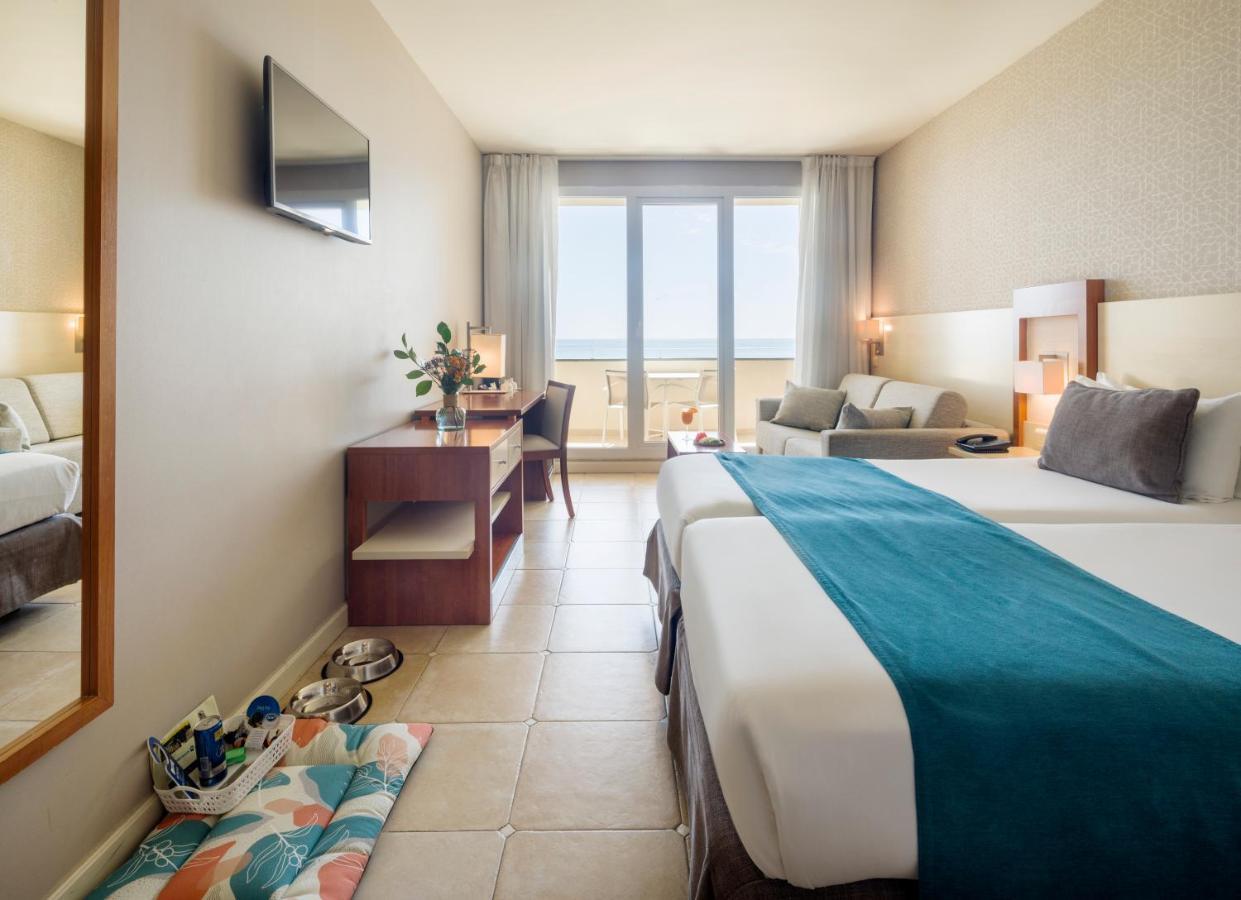 Room Sea View Pet Friendly