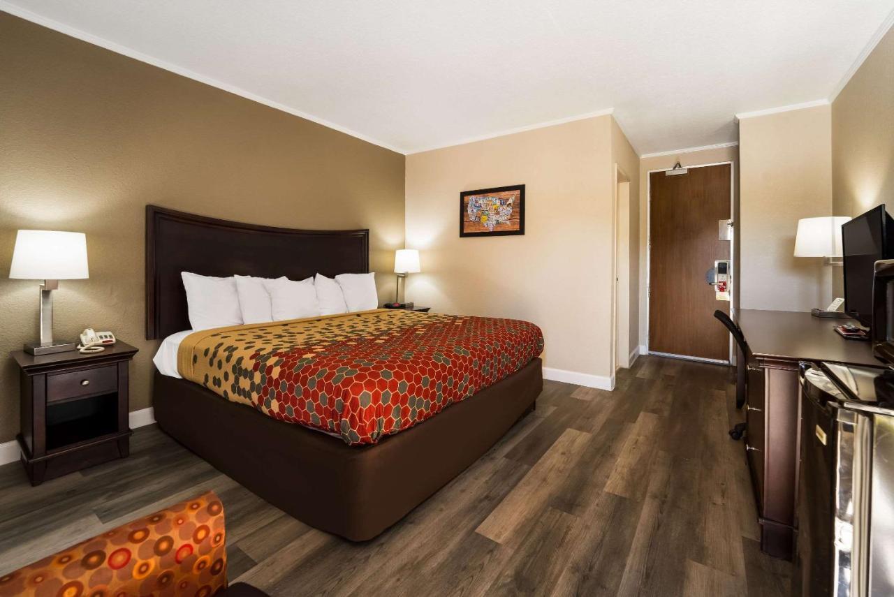 Suite - King Bed Non - Smoking
