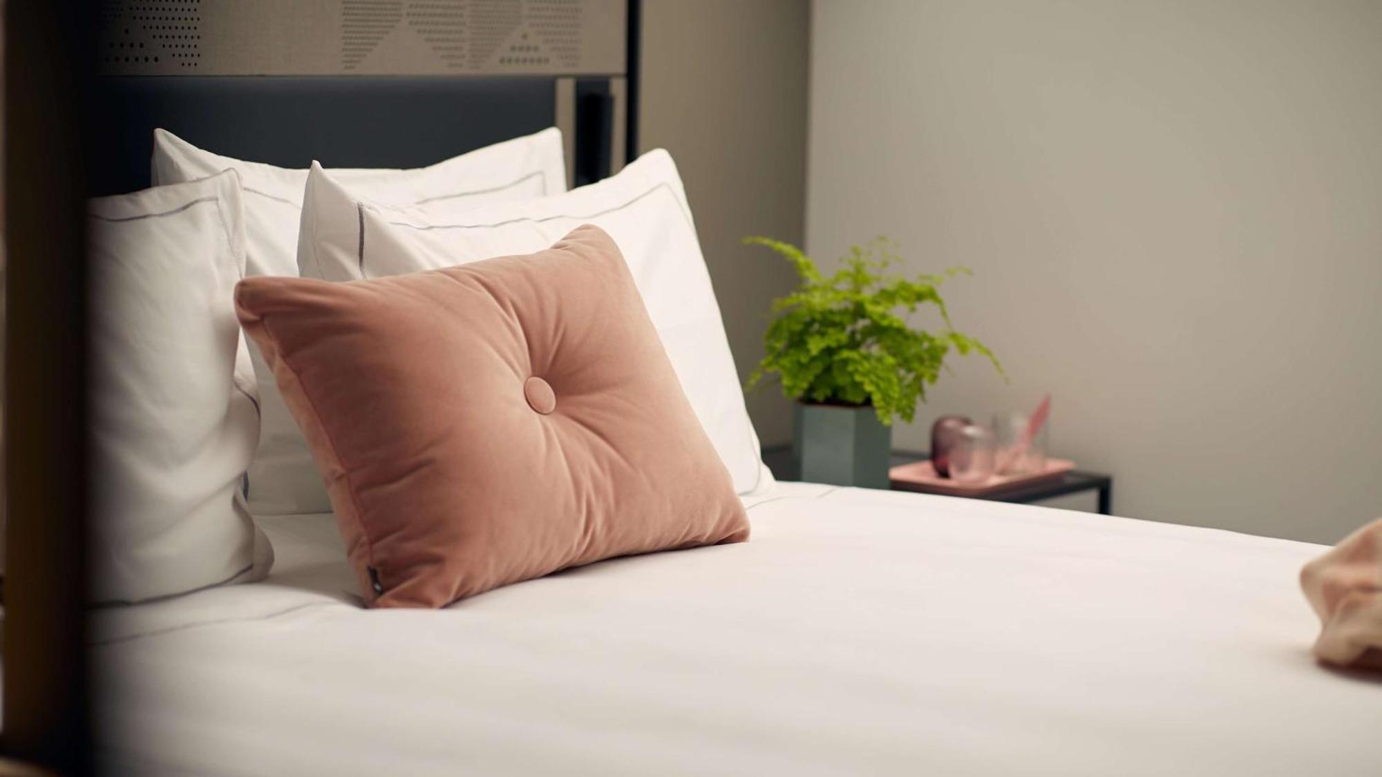 Estudio con cama extragrande