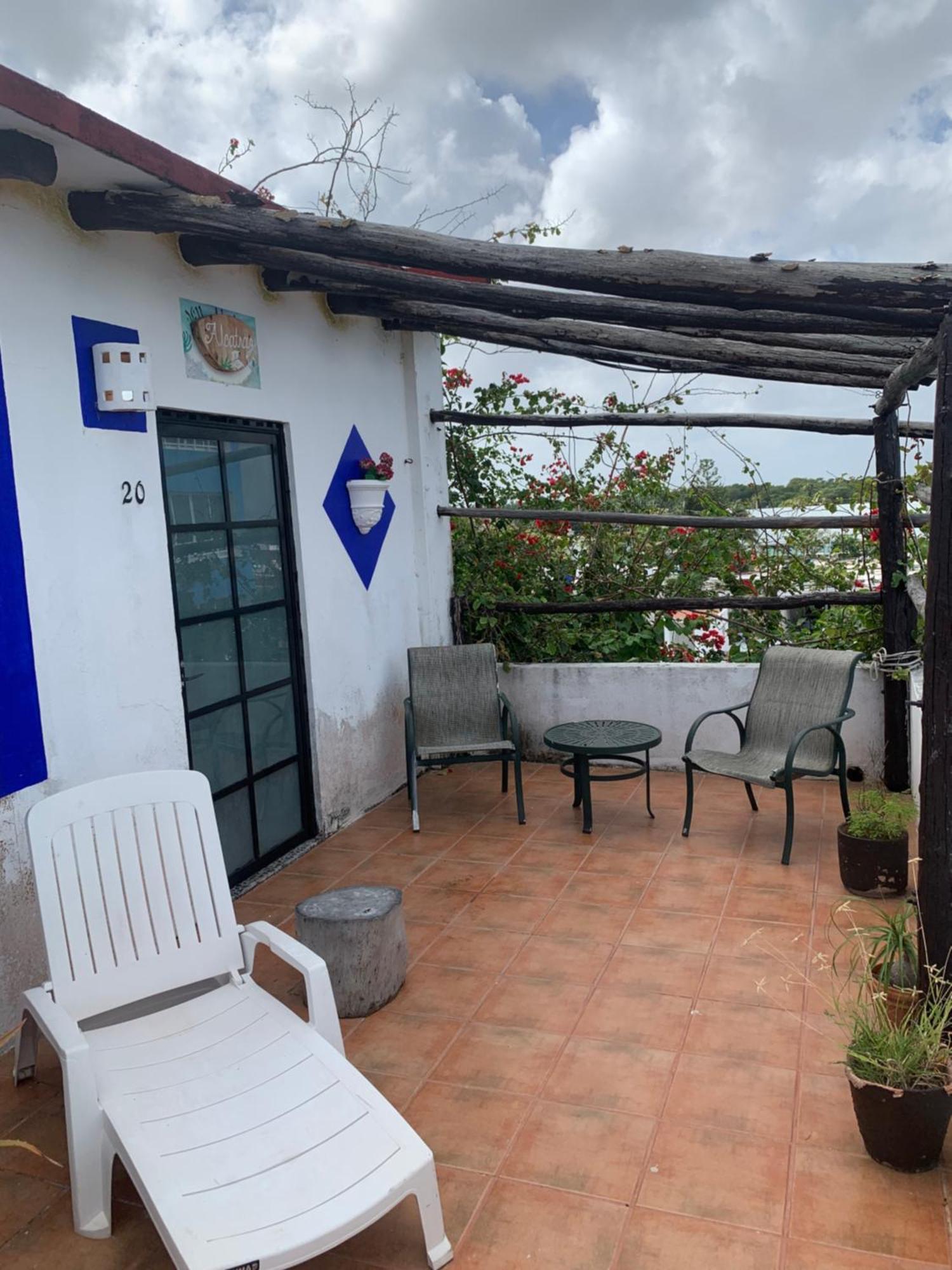 Junior Suite Terrace