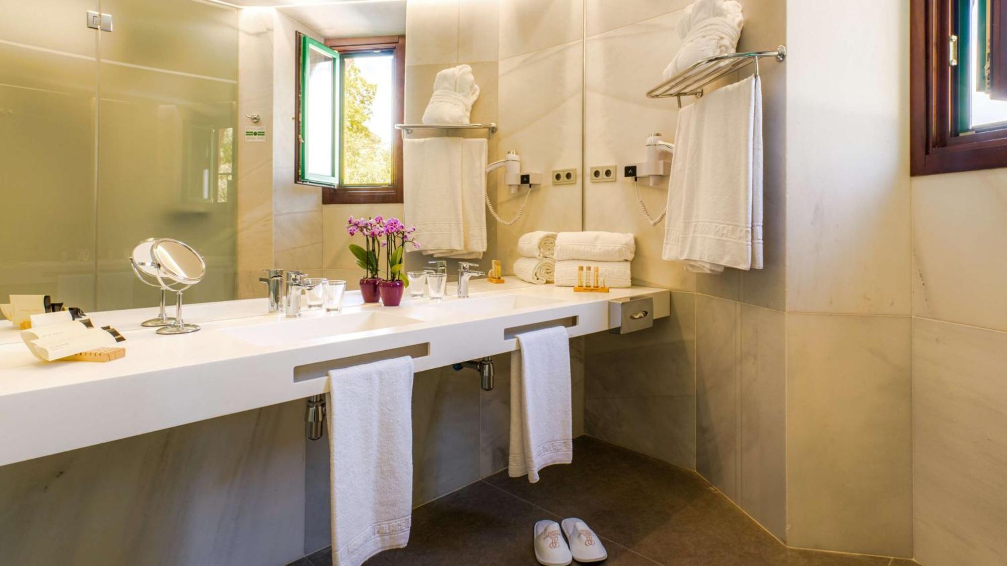 Quarto deluxe com 2 camas de solteiro e área de chuveiro ampla - Não fumantes