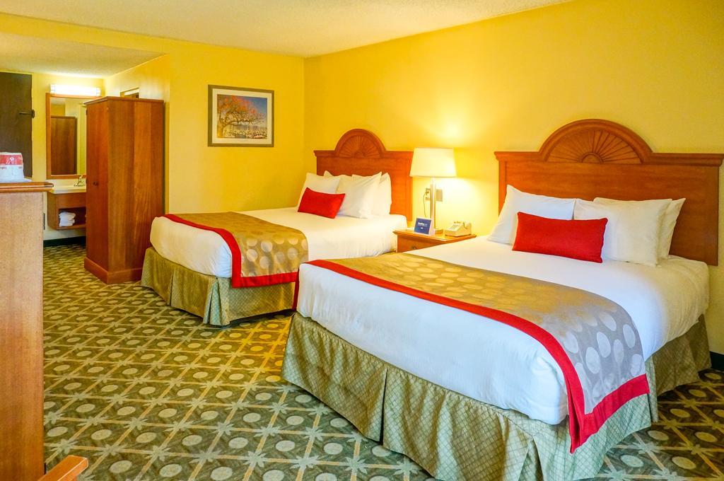 Two Queen Bed Superior Room Non-Smoking,154475888:JPEG