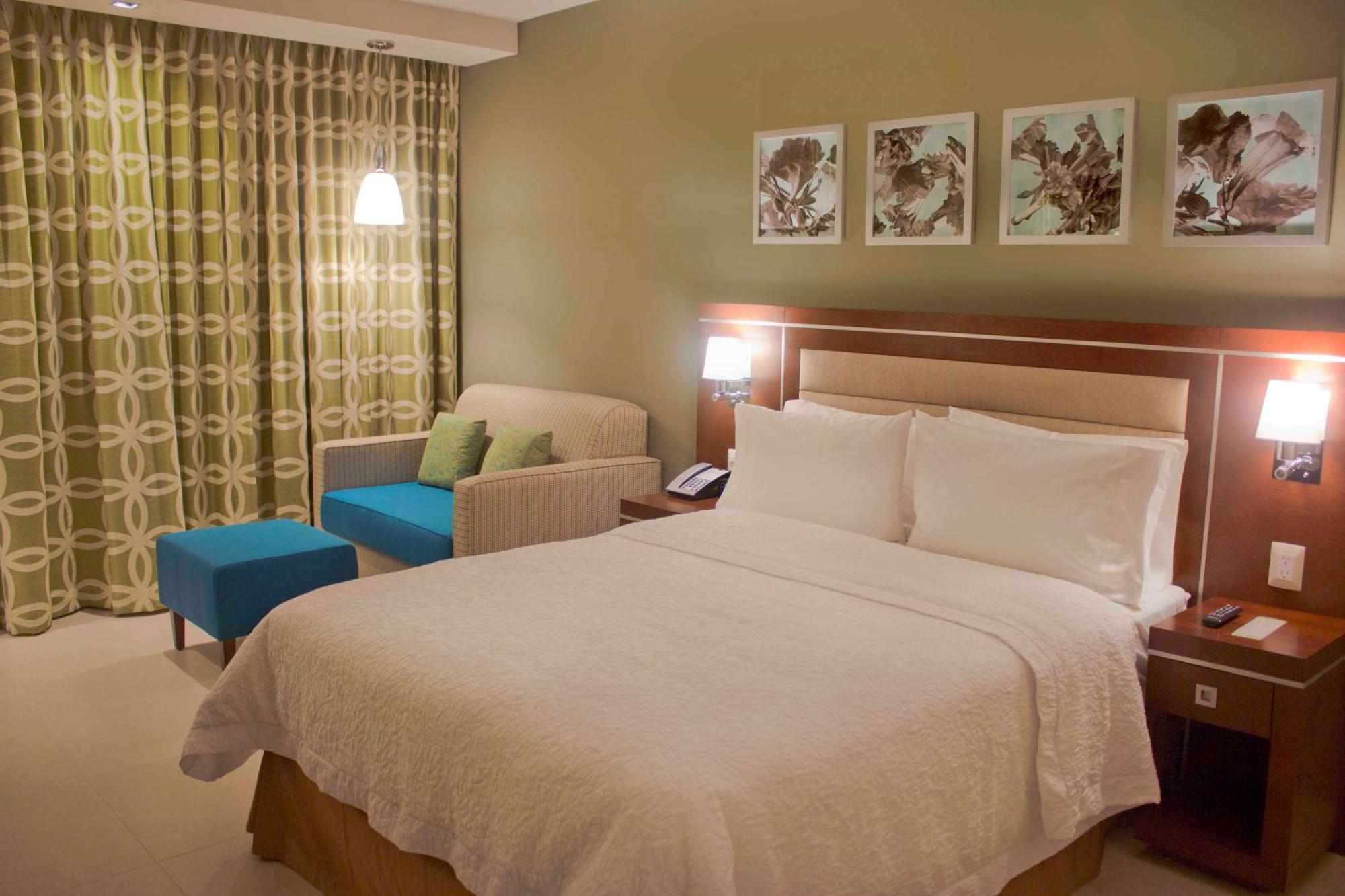 Queen Room Sofa Bed