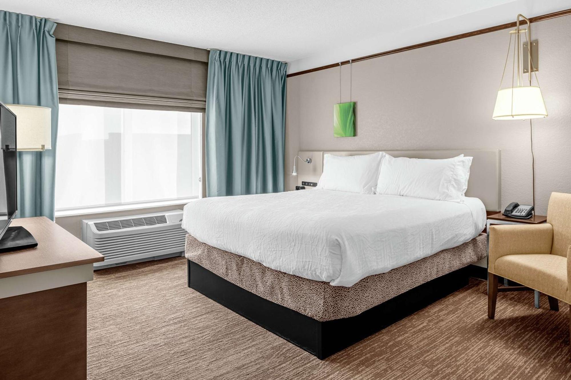 One-Bedroom King Suite Sofa Bed