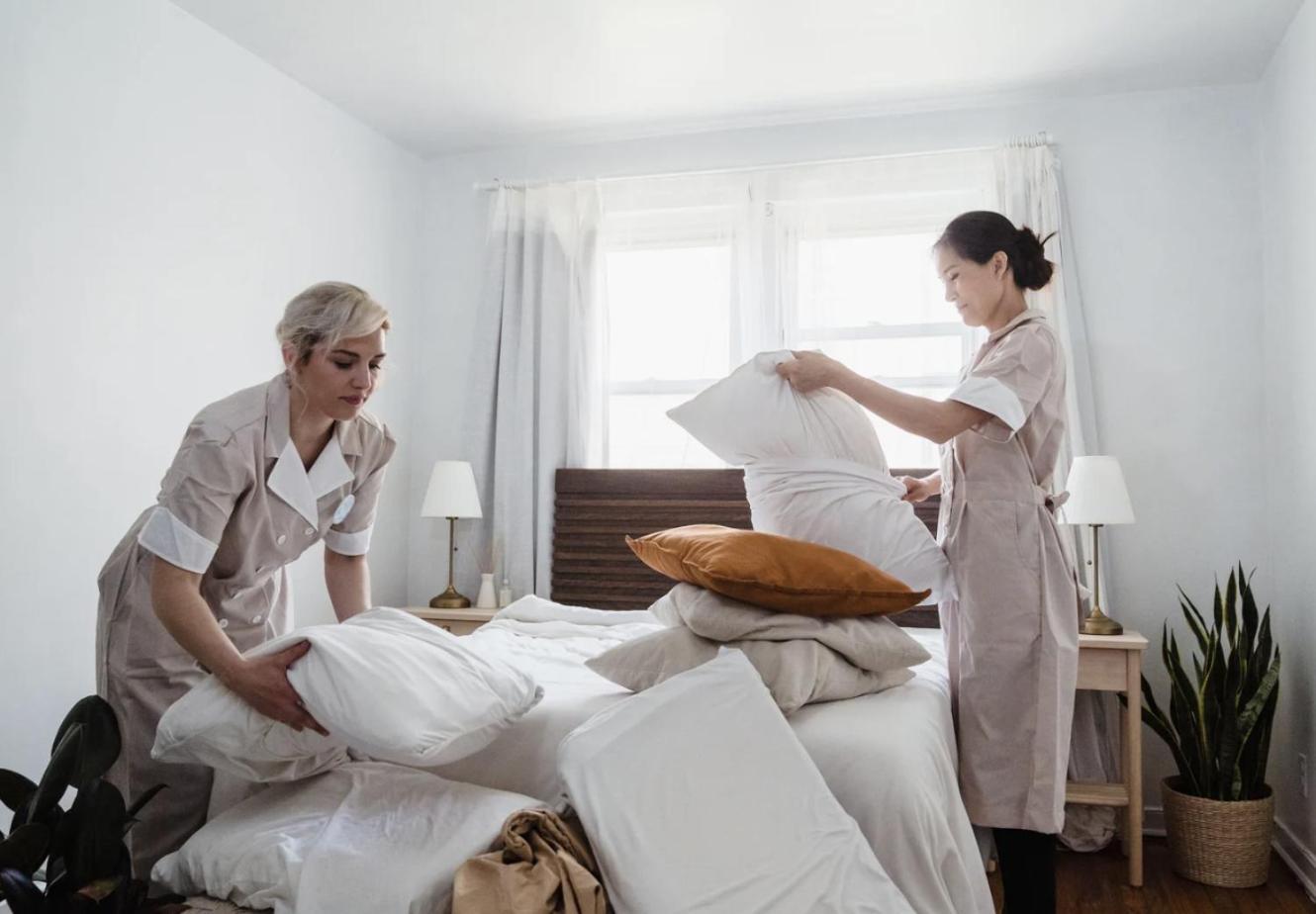 Deluxe Twin Pet-Friendly Room