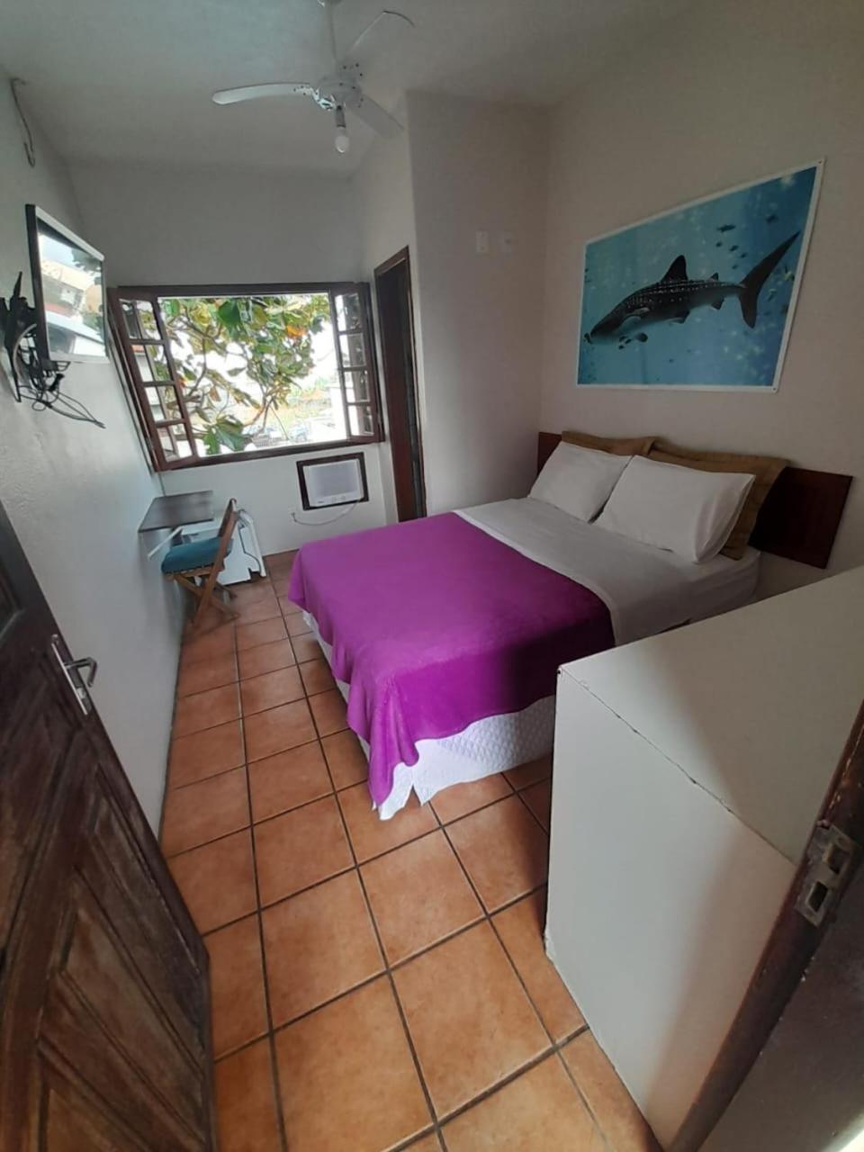 Budget Single Room