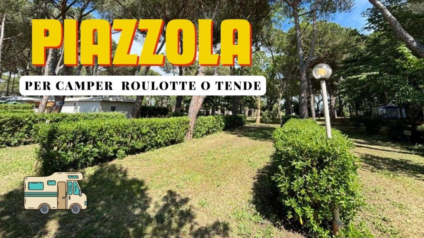 Piazzola Standard Vuota (Portate il Vostro Camper, Roulotte o Tenda)