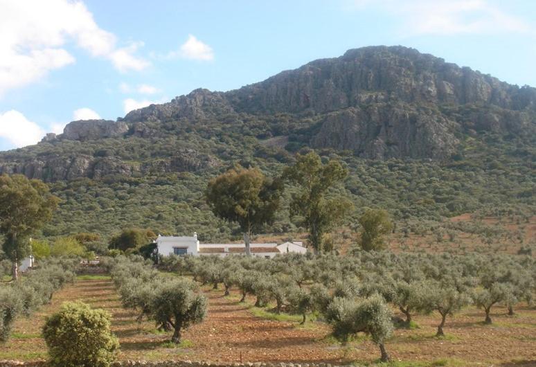 Four-Bedroom Holiday Home