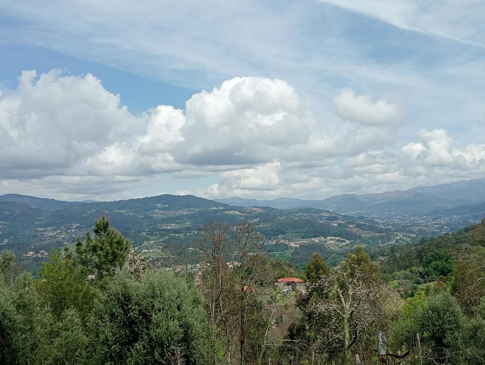 Studio Terrace