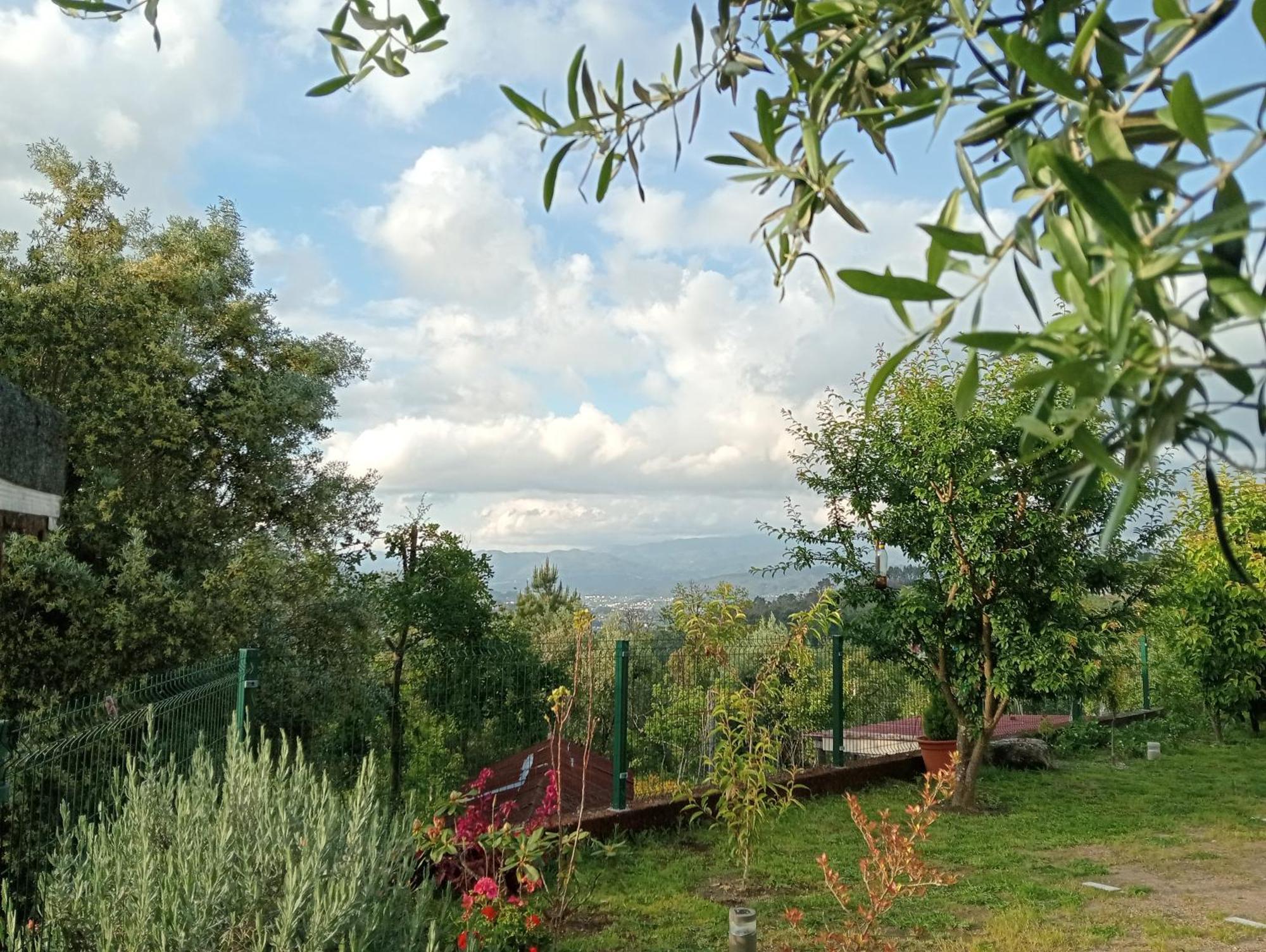 Studio Terrace