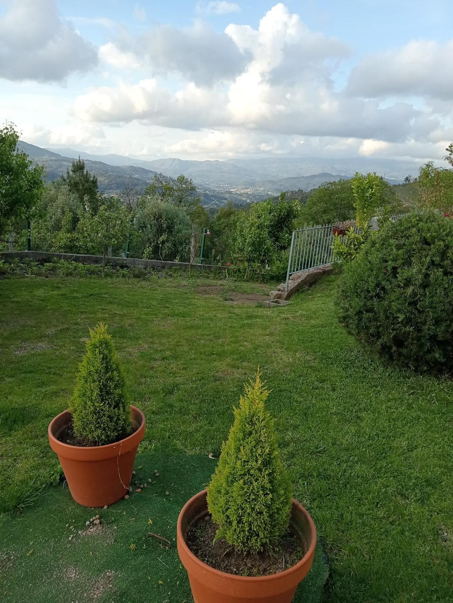 Studio Terrace