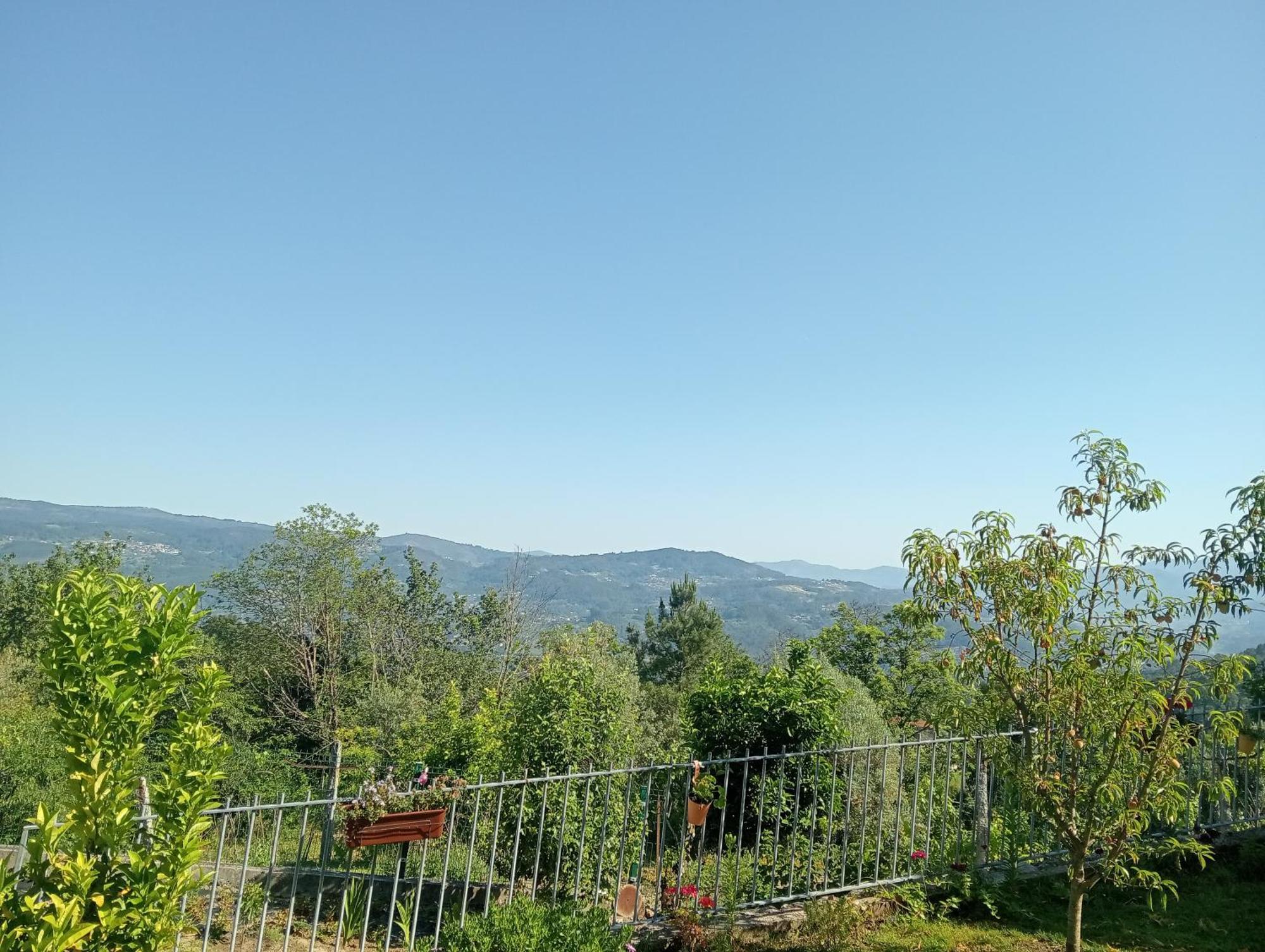 Studio Terrace