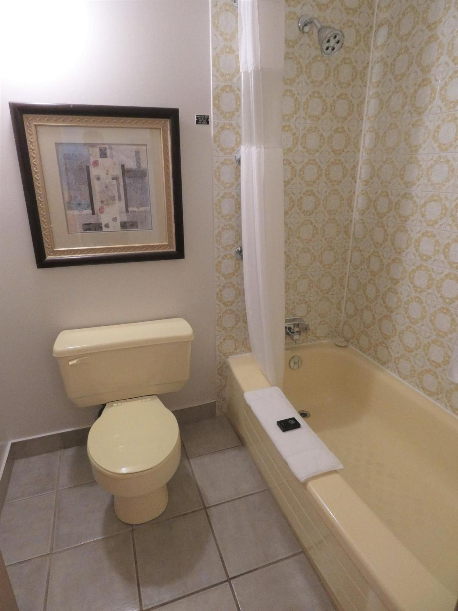 Standard Room, 1 Queen Bed (Non-Pet Friendly)