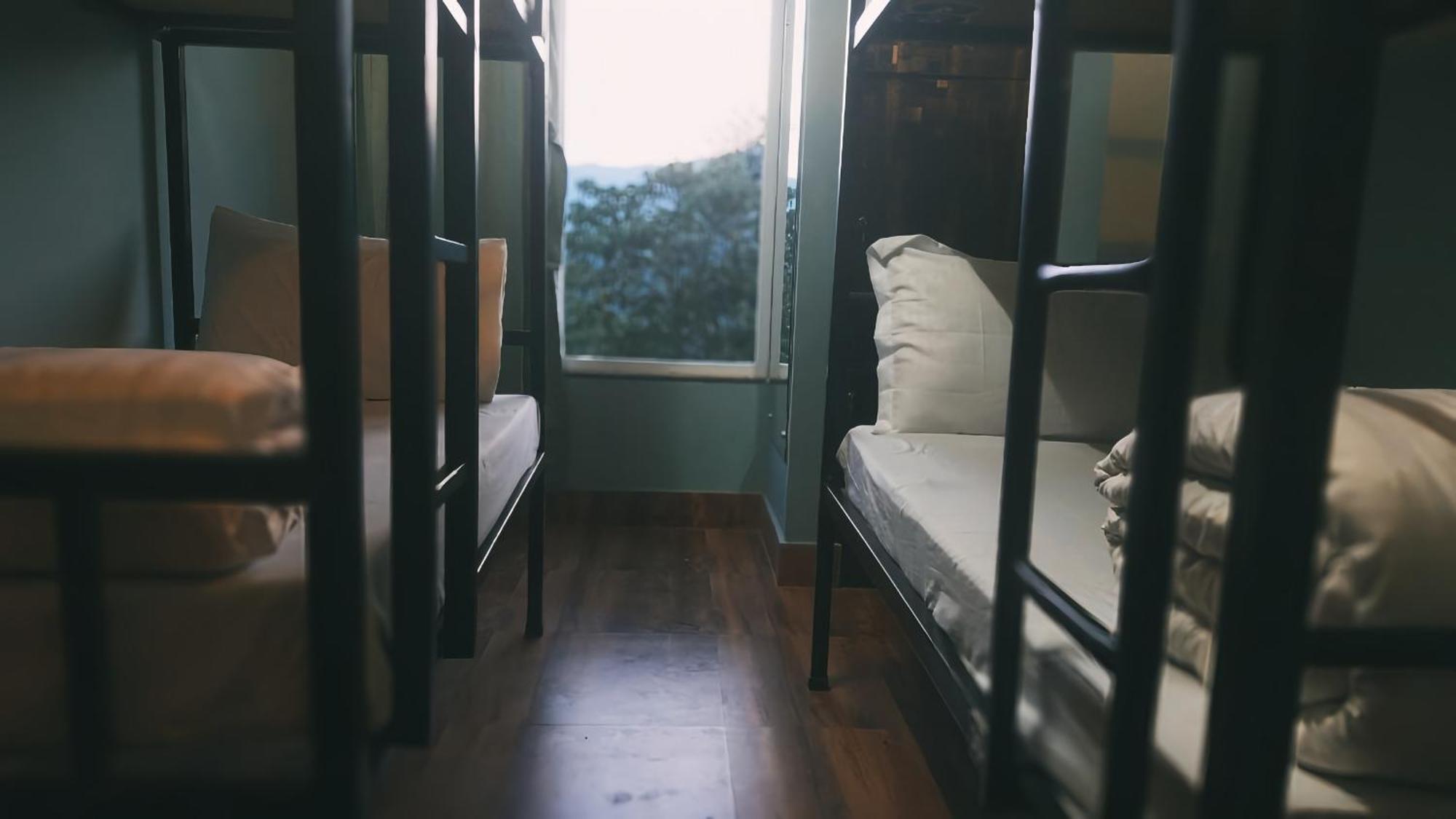 Bed 4-Bed Female Dormitory Room,1677935325:JPEG