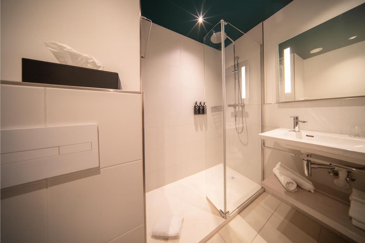 Habitación doble deluxe con cama grande y vistas al parque