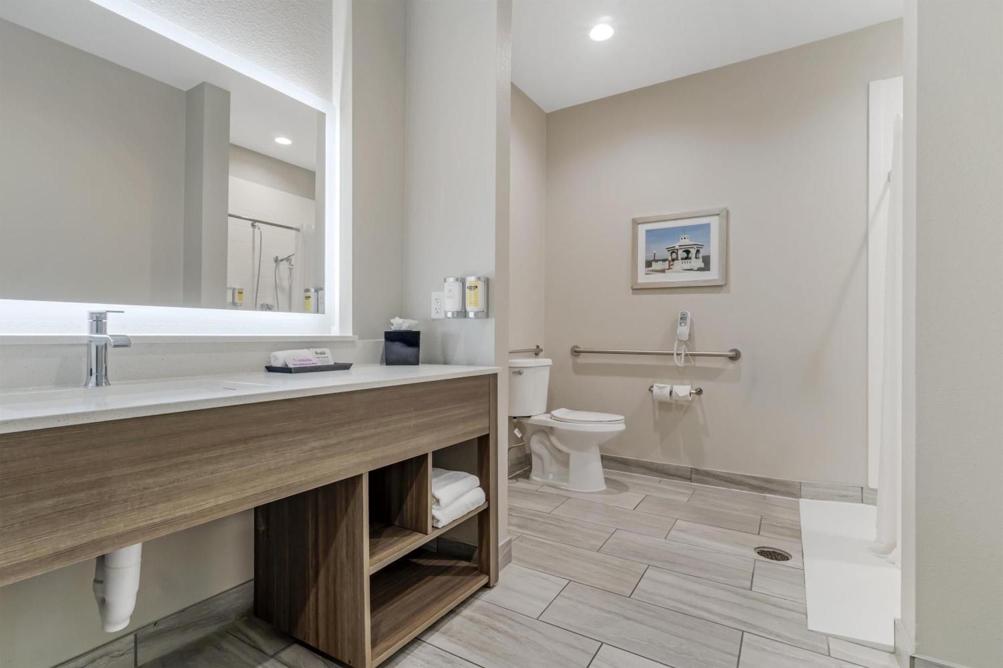 King Room Roll Shower Disability Access