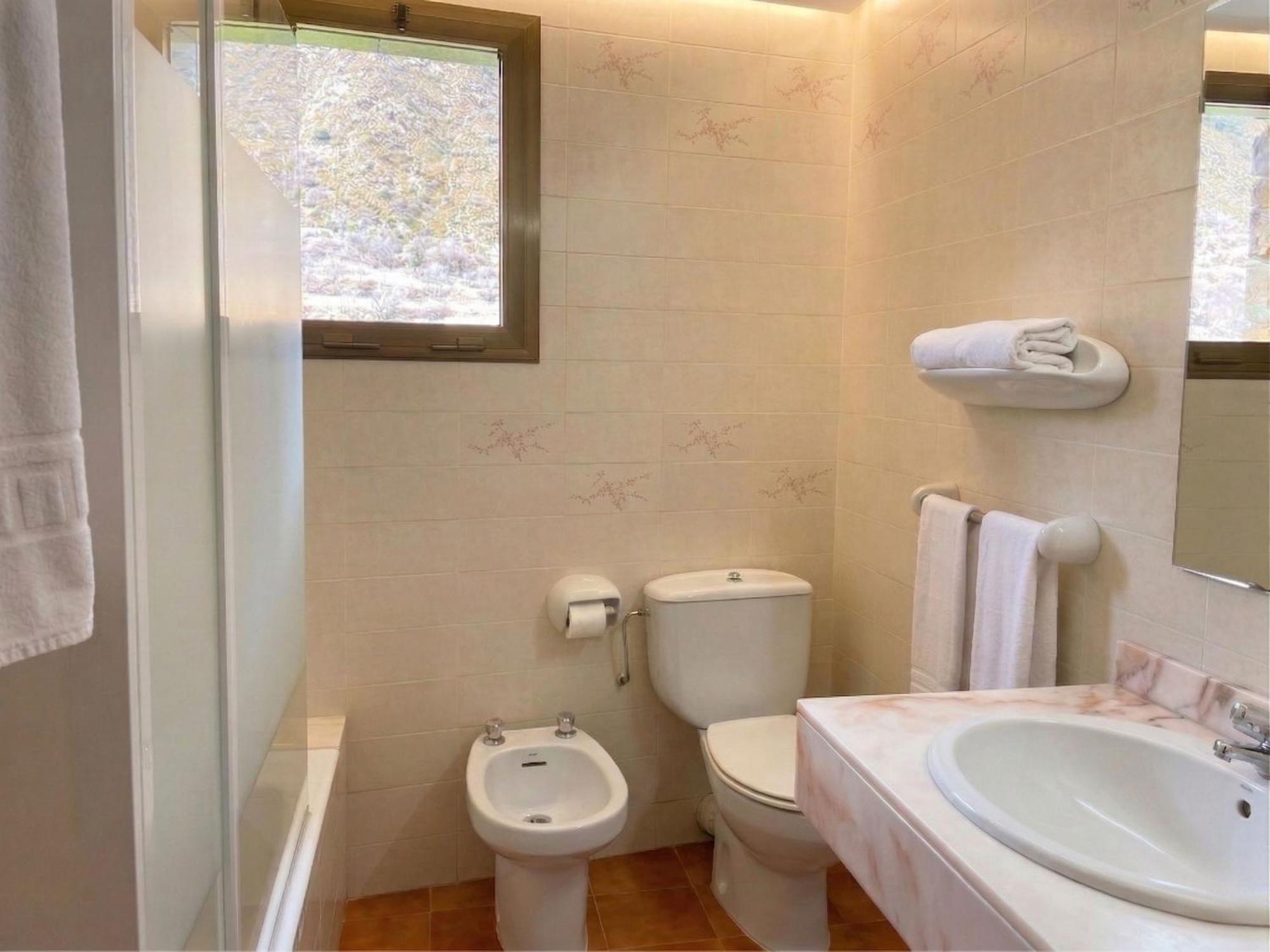 Standard Twin Room Mountain View