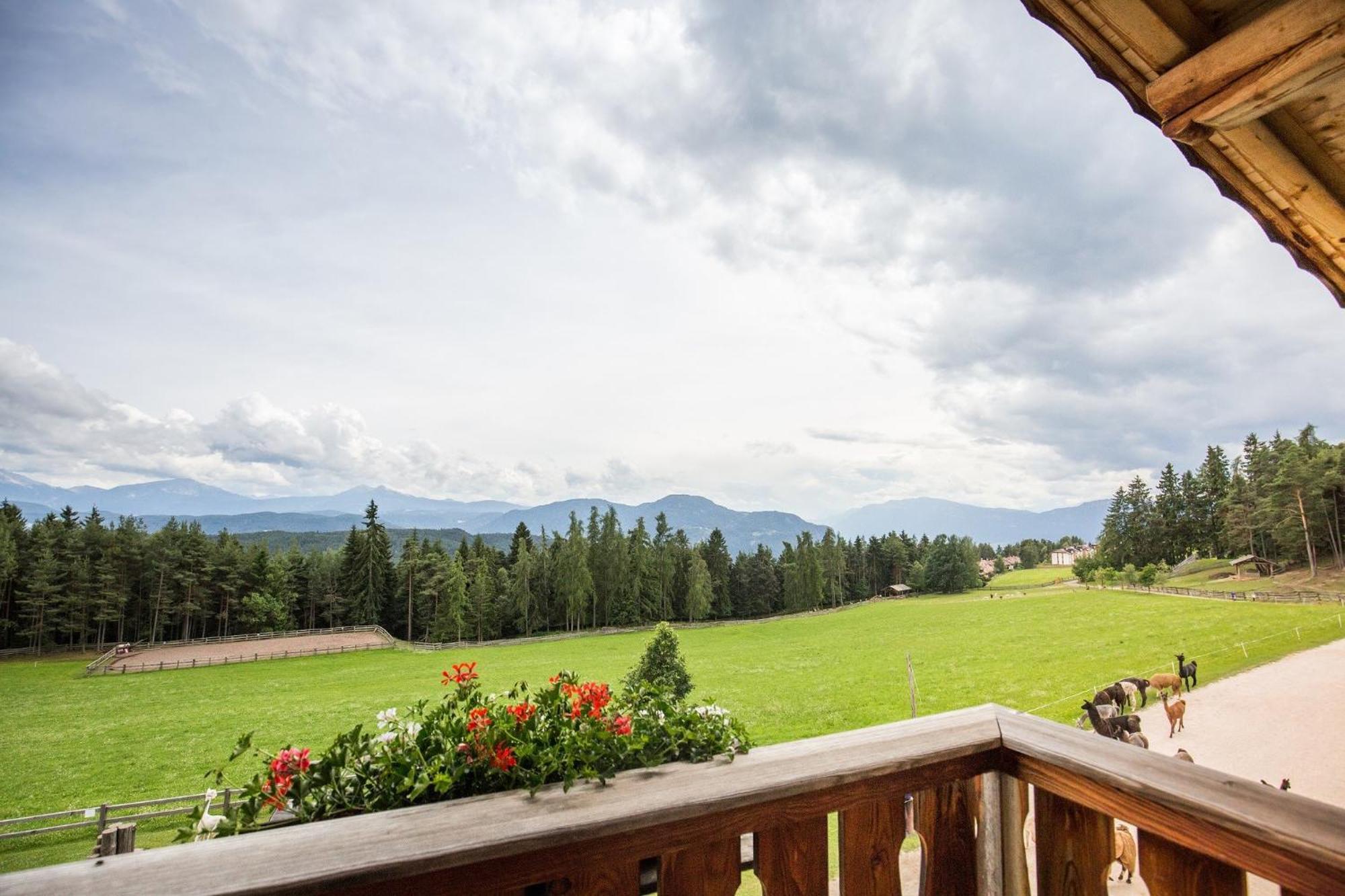 Appartamento Superior con 1 Camera da Letto e Balcone