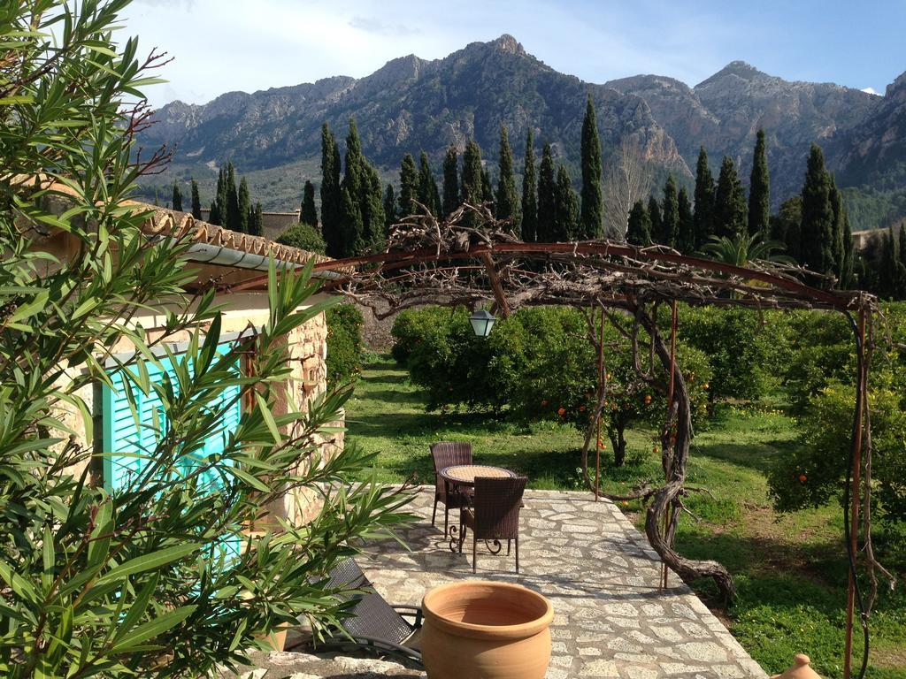 Double or Twin Room with Terrace